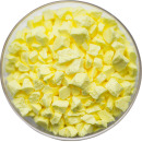 ����ҹ���